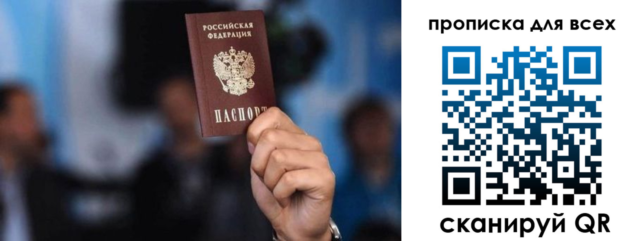 прописка законно в Кингисеппе